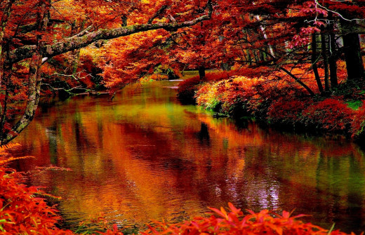 1717386 (a): :1920x1235